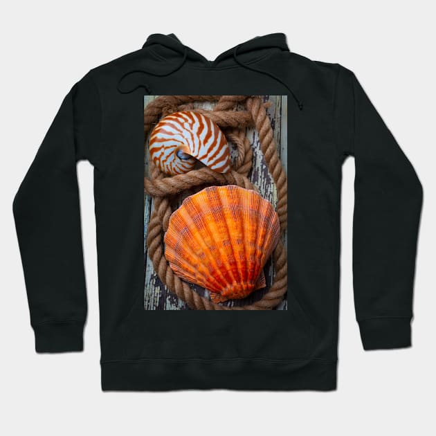 Sea Shell And Nautilus In Rope Hoodie by photogarry